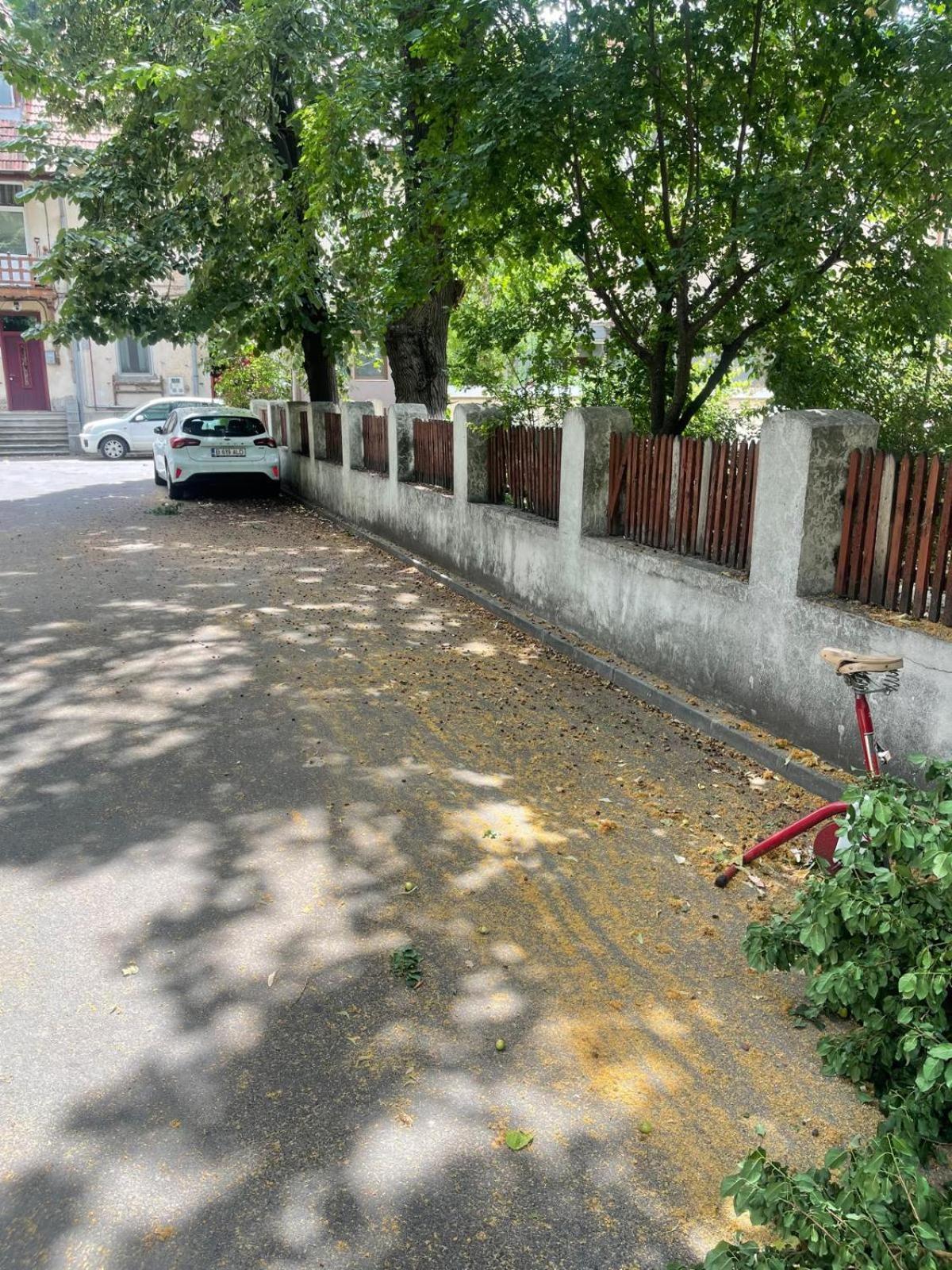 Prime 3 Daire Bükreş Dış mekan fotoğraf